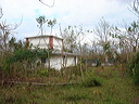 dsc00538